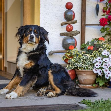 Apartament Bio-Bergbauernhof Weger Dellach  Zewnętrze zdjęcie