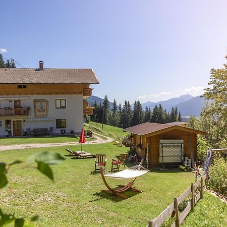 Apartament Bio-Bergbauernhof Weger Dellach  Zewnętrze zdjęcie