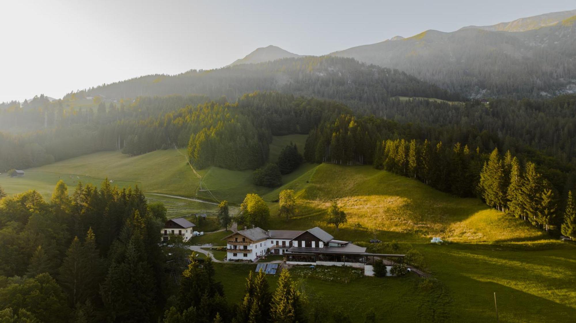 Apartament Bio-Bergbauernhof Weger Dellach  Zewnętrze zdjęcie