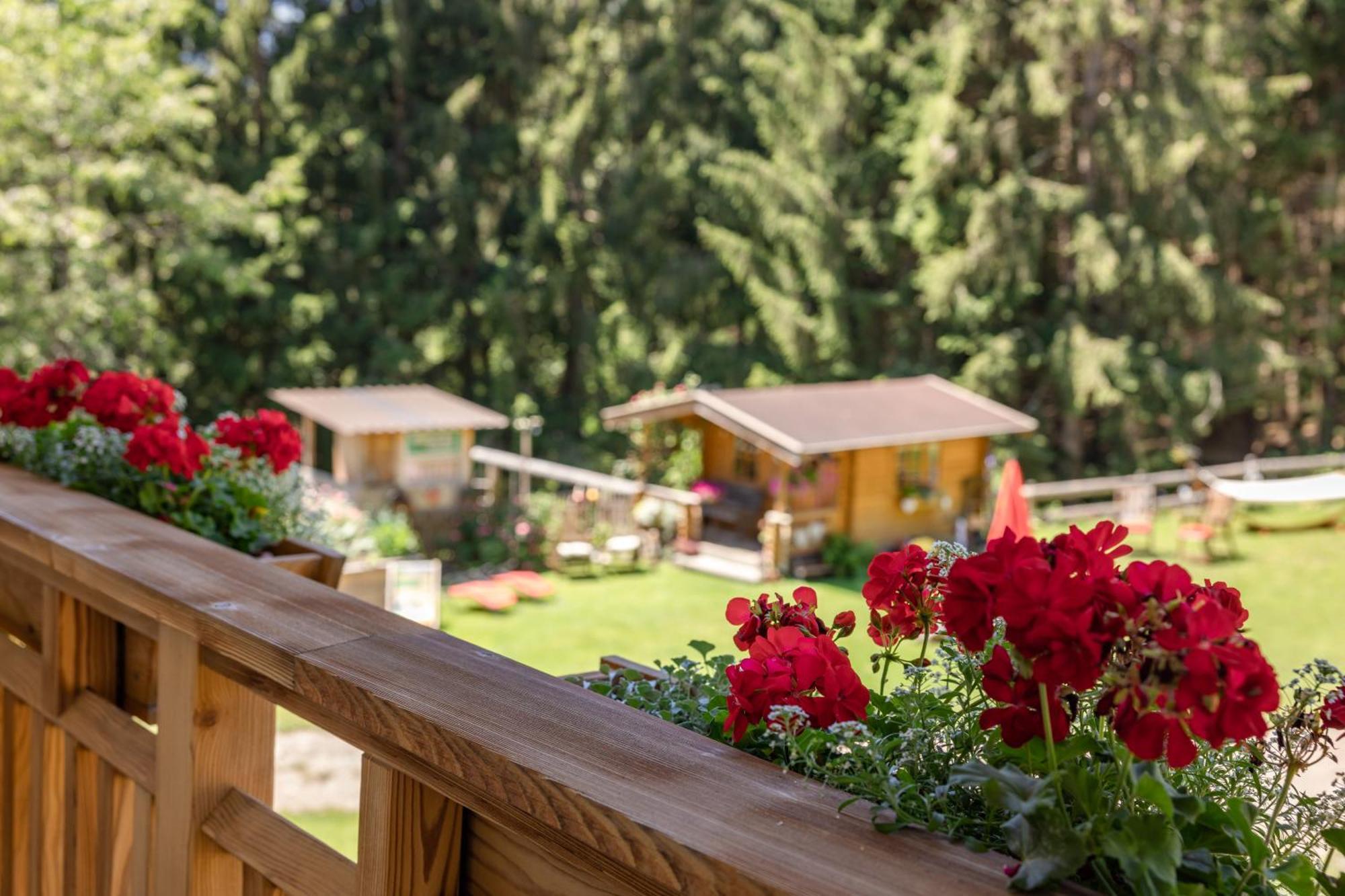 Apartament Bio-Bergbauernhof Weger Dellach  Zewnętrze zdjęcie