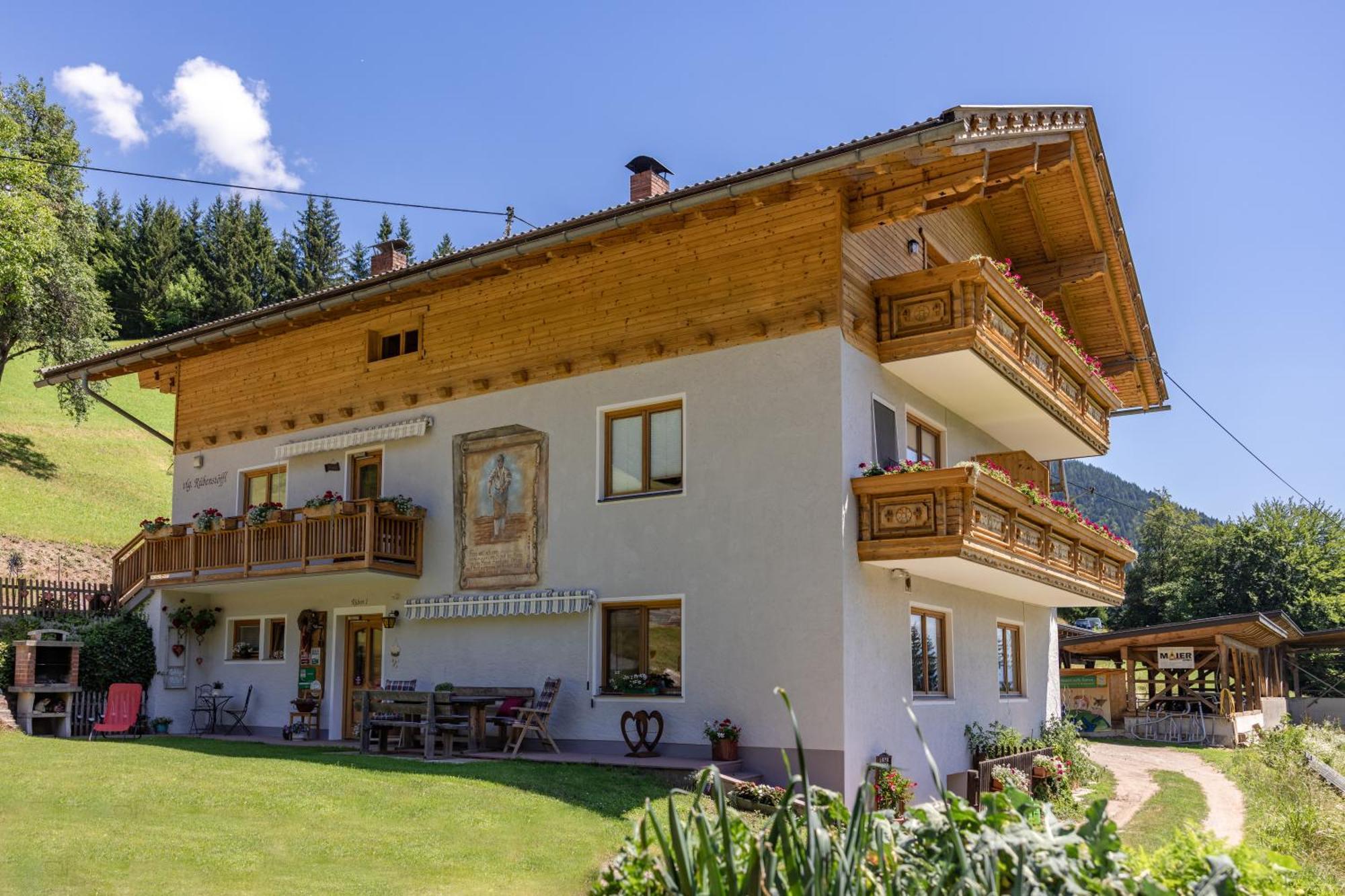 Apartament Bio-Bergbauernhof Weger Dellach  Zewnętrze zdjęcie