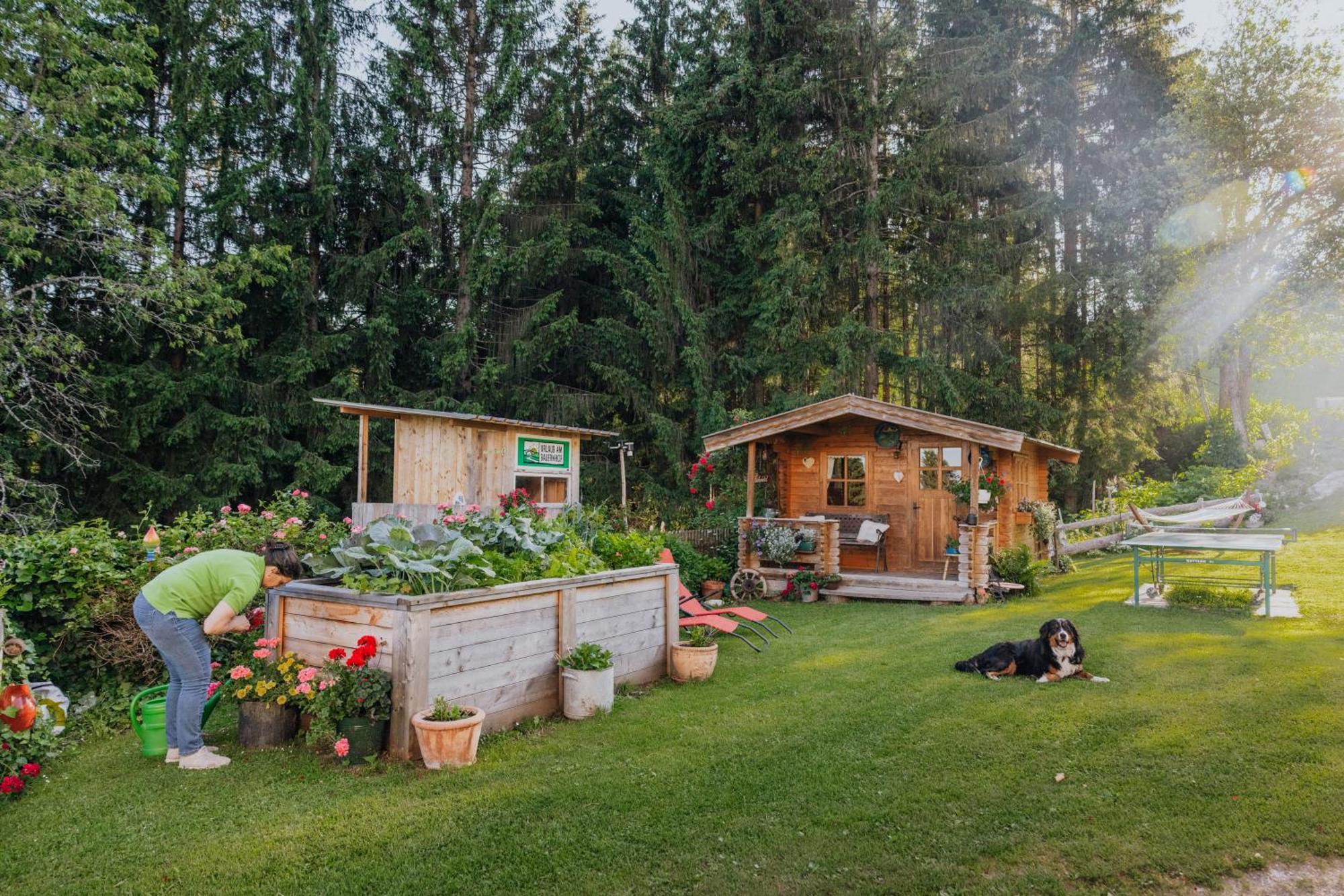 Apartament Bio-Bergbauernhof Weger Dellach  Zewnętrze zdjęcie